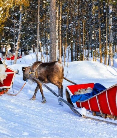 11D9N LAPLAND SPECIAL SCANDINIVIAN (1)