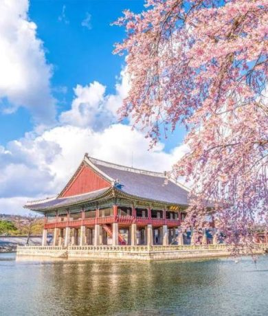 6D4N South Korea, Nami Island & Everland (summer) 1