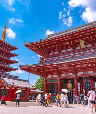 7D5N tokyo (2)