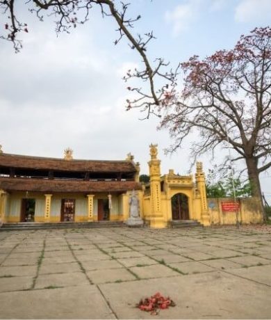VIETNAM CUCHI (4)