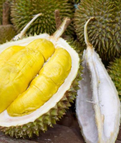 durian