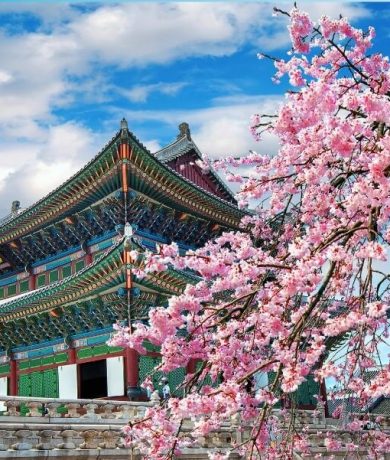 pakej melancong ke korea