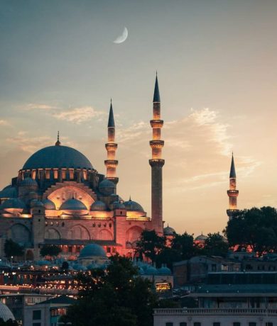 turkey 1
